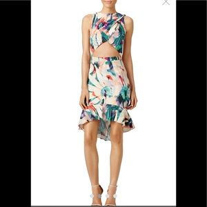 Nicole Miller Calatheas Ruffle Dress
